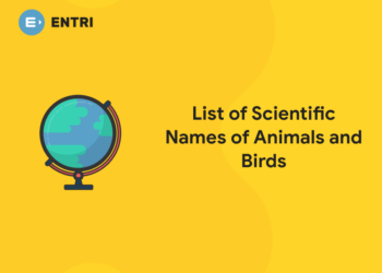 scientific names of animals and birds