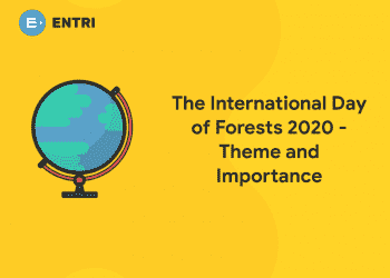The International Day of Forests 2020 – Theme and Importance