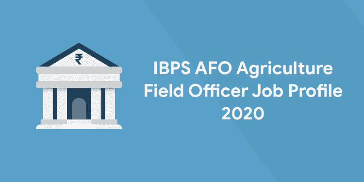job profile Ibps AFO