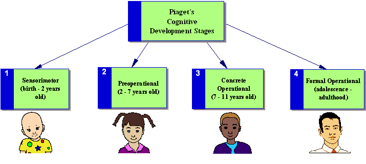 Thinking and Learning of Children - CTET Study Notes 