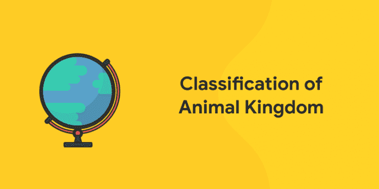 Classification of animal kingdom