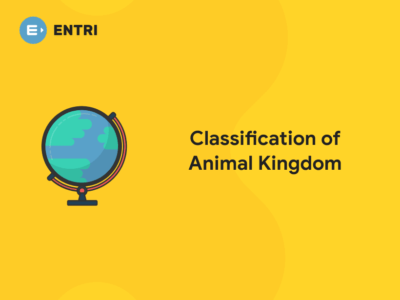 Classification of Animal Kingdom Different Phylas Entri Blog