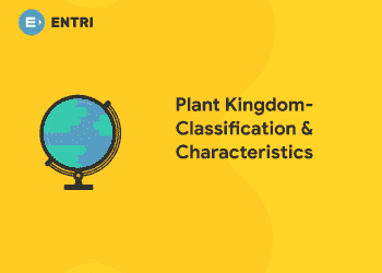 Plant Kingdom-Classification and characteristics