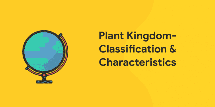 Plant Kingdom-Classification and characteristics