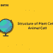 Structure of plant cell and animal cell