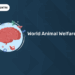 World Animal Welfare Day