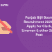 Punjab Bijli Board Recruitment 2021