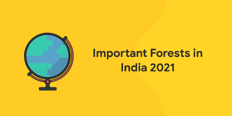 Important Forests in India 2021
