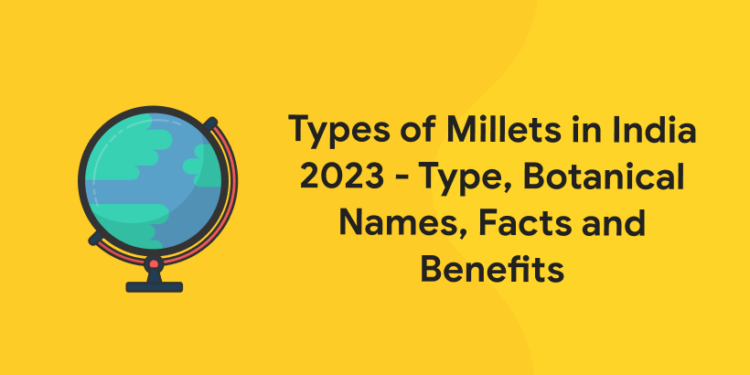 Types of Millets in India 2023 - Type, Botanical Names, Facts and Benefits