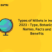 Types of Millets in India 2023 - Type, Botanical Names, Facts and Benefits