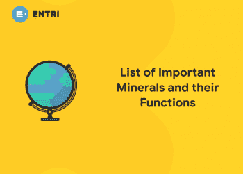 List of Important Minerals and their Functions
