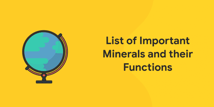 List of Important Minerals and their Functions