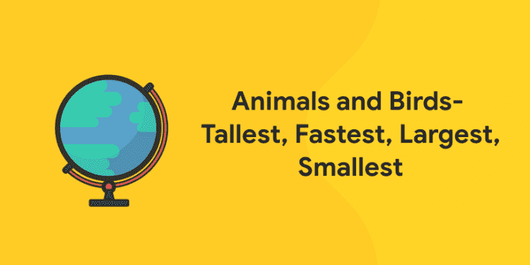Animals and Birds – Tallest, Fastest, Largest, Smallest