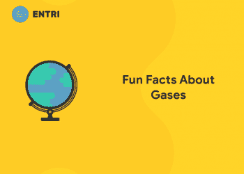 Fun Facts About Gases