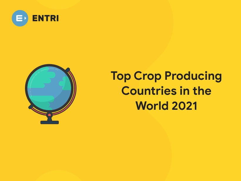 Top Crop Producing Countries in the World 2021 Entri