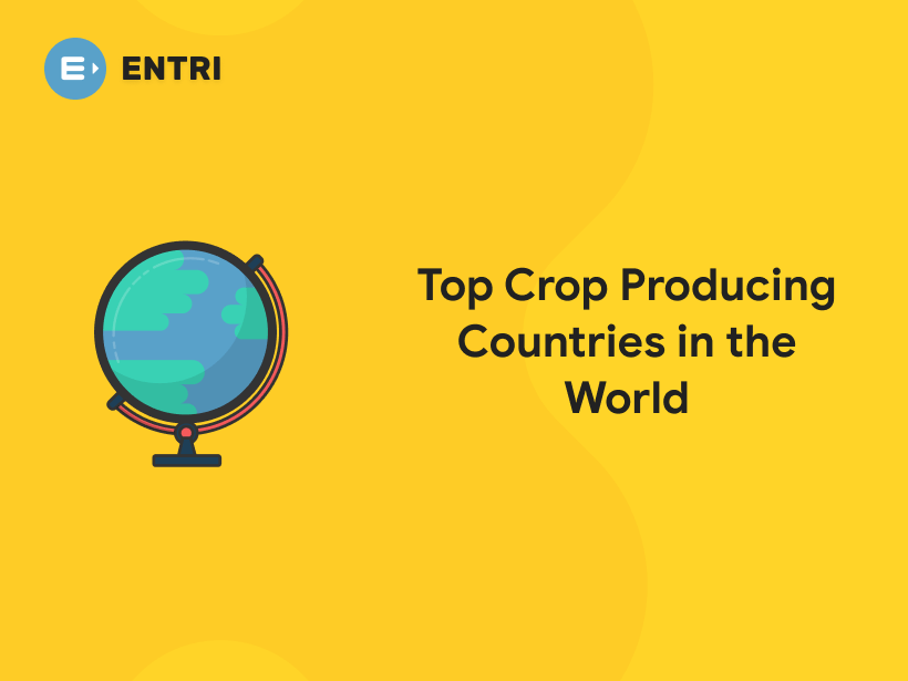 Top Crop Producing Countries in the World 2021 Entri