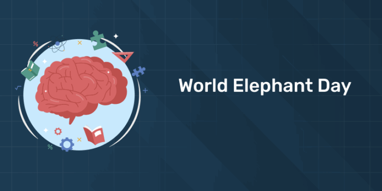 World Elephant Day