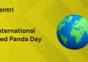 international red panda day