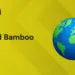 world bamboo day