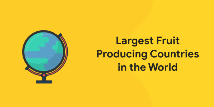 Largest Fruit Producing Countries in the World