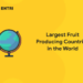 Largest Fruit Producing Countries in the World