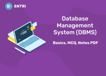 Database Management System (DBMS)