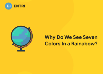Why Do We See Seven Colors In a Rainbow