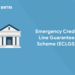 Emergency Credit Line Guarantee Scheme (ECLGS)