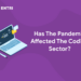 Has The Pandemic Affected The Coding Sector?