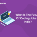 What Is The Future Of Coding Jobs In India?