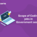 Scope of Coding jobs in the Government sector
