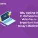 Why coding in E-Commerce Websites is Important for Today's Business?
