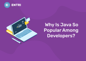 Why is Java So Popular Among Developers?