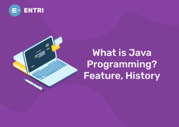 What is Java Programming? Feature, History