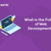 What is the Future of Web Development?