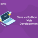 Java vs Python for Web Development: A 2025 Comparison Guide