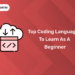 top coding languages to learn as beginner