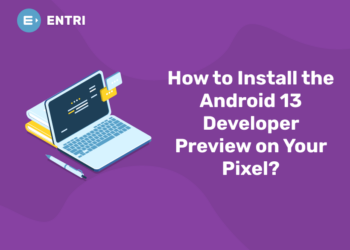 How to Install the Android 13 Developer Preview on Your Pixel?