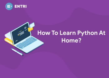 How To Learn Python At Home?