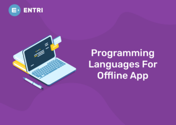 Programming Language For Offline App