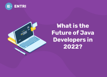 What is the Future of Java Developers in 2023?
