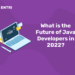 What is the Future of Java Developers in 2023?