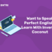 Want to Speak Perfect English? Learn With Inverted Coconut