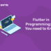 Flutter in Programming: All You need to Know