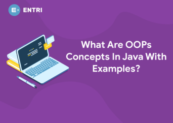 What Are OOPs Concepts In Java With Examples?
