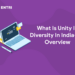 What Is Unity In Diversity In India- An Overview