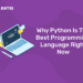Why Python Is The Best Programming Language Right Now