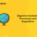 Digestive System - Processes and Regulation