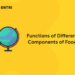 Functions of Different Components of Food