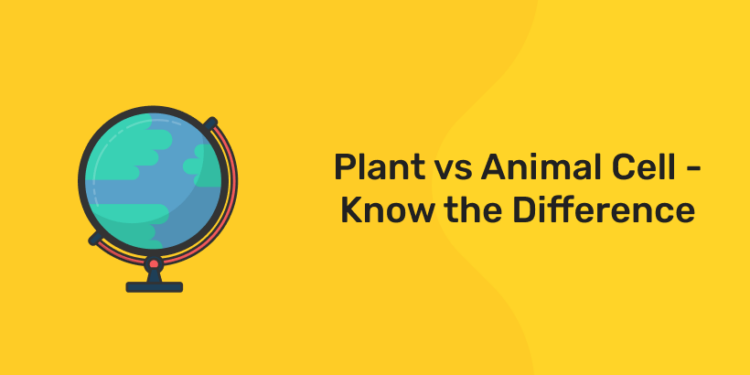 Plant vs Animal Cell - Know the Difference